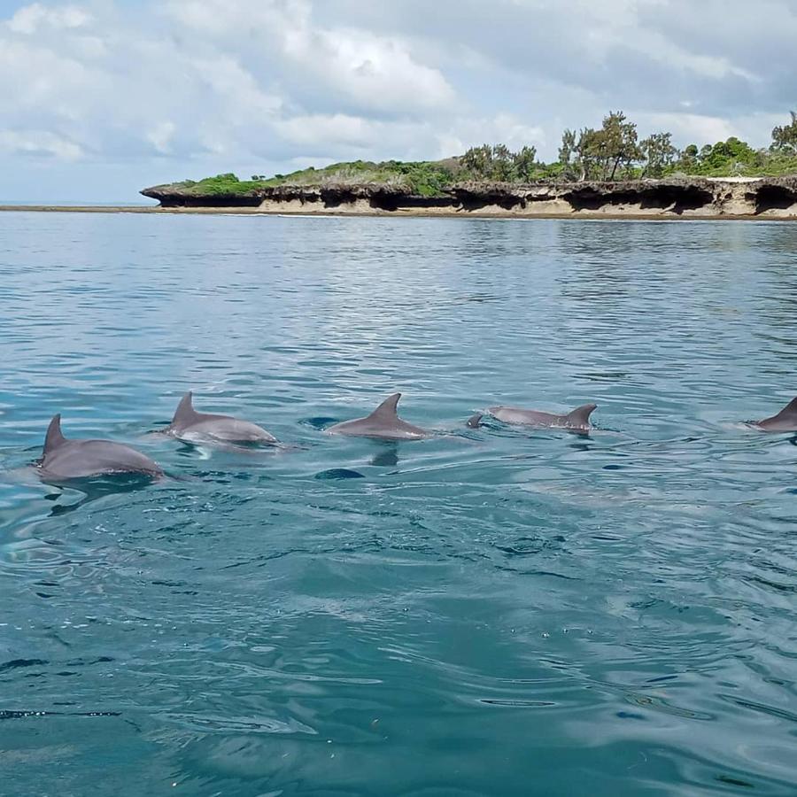 דירות Wasini Raha Snorkeling And Diving מראה חיצוני תמונה